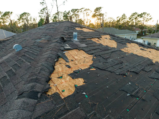 Reliable Riviera Beach, MD Roofing Services Solutions